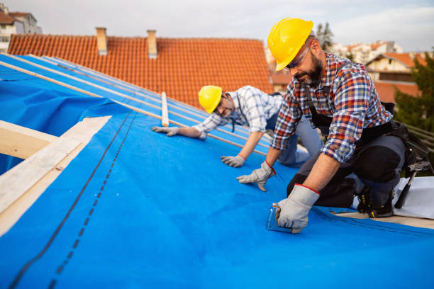 Best Metal Roofing Contractor  in Eastport, ME